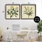 Stupell Industries Vintage Yellow Bushels and Wheat 2pc Floating Frame Set, design by Petal Prints Design